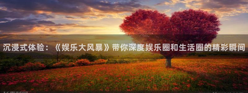 彩名堂计划软件下载：沉浸式体验：《娱乐大风暴》带你深度娱乐圈和生活圈的精彩瞬间