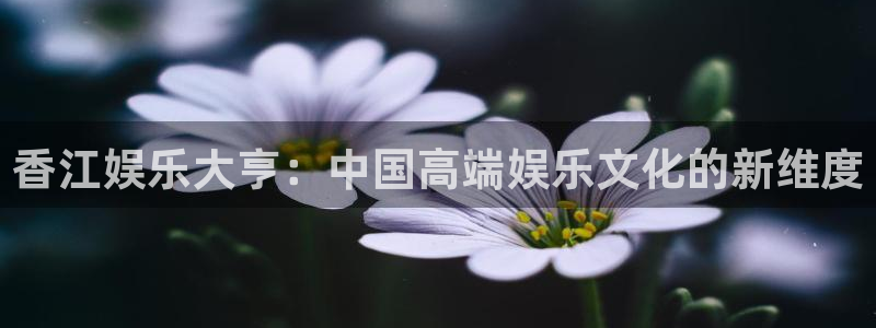 彩名堂计划软件下载：香江娱乐大亨：中国高端娱乐文化的新维度