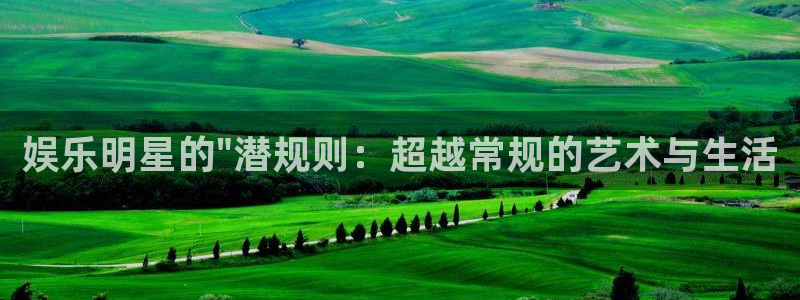 彩名堂使用方法：娱乐明星的\