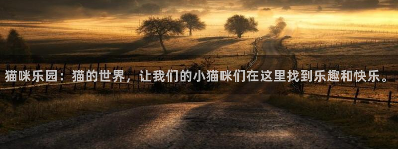 彩名堂官方平台：猫咪乐园：猫的世界，让我们的小猫咪们在这里找到乐趣和快乐。