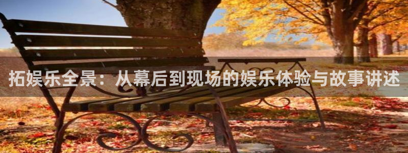 彩名堂官网计划：拓娱乐全景：从幕后到现场的娱乐体验与故事讲述