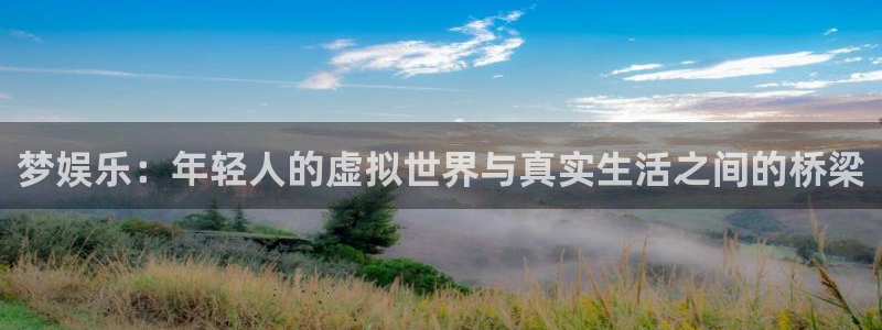 彩名堂使用方法：梦娱乐：年轻人的虚拟世界与真实生活之间的桥梁