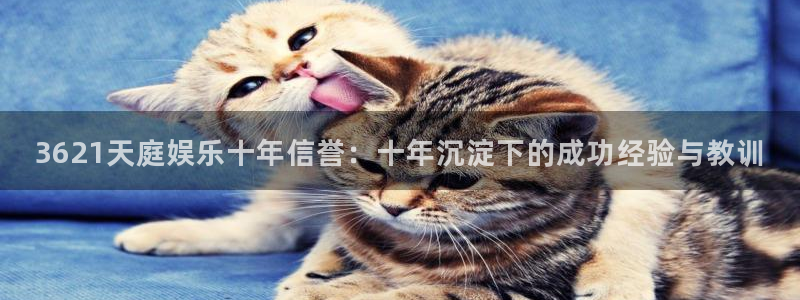 彩名堂计划官网客户端：3621天庭娱乐十年信誉：十年沉淀下的成功经验与教训