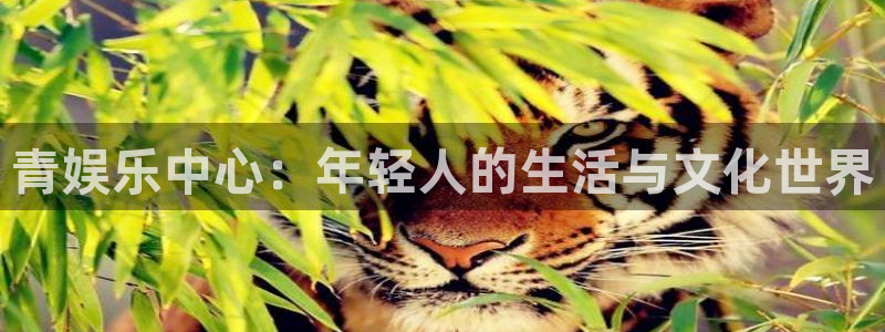 彩名堂旧版本：青娱乐中心：年轻人的生活与文化世界