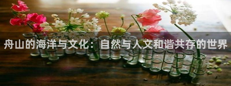 彩名堂老版本：舟山的海洋与文化：自然与人文和谐共存的世界
