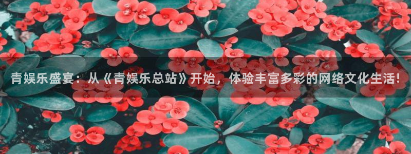 彩名堂旧版本下载：青娱乐盛宴：从《青娱乐总站》开始，体验丰富多彩的网络文化生活!