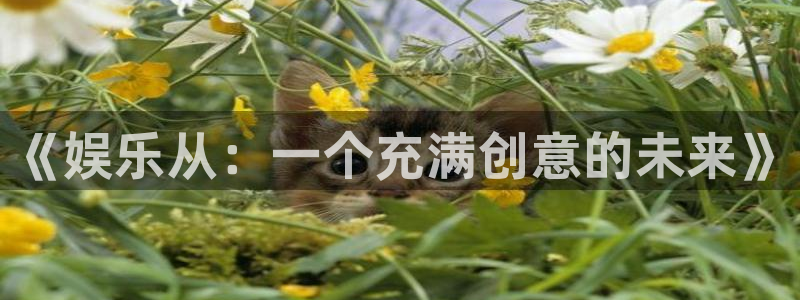 彩名堂免费计划官网5.0版下载链接：《娱乐从：一个充满创意的未来》