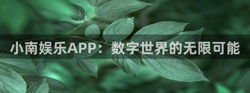 彩名堂人工计划：小南娱乐APP：数字世界的无限可能