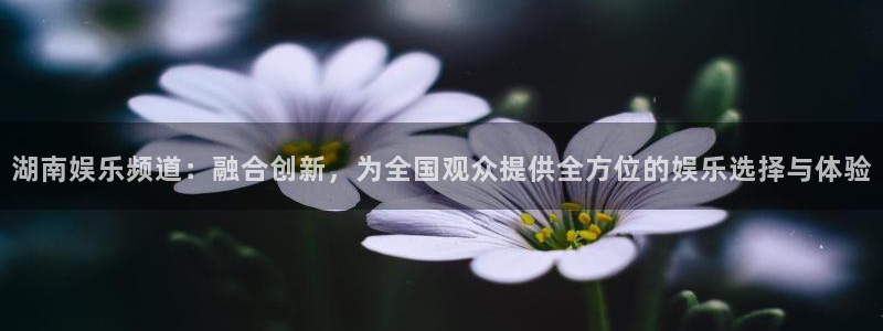 彩名堂计划软件下载：湖南娱乐频道：融合创新，为全国观众提供全方位的娱乐选择与体验