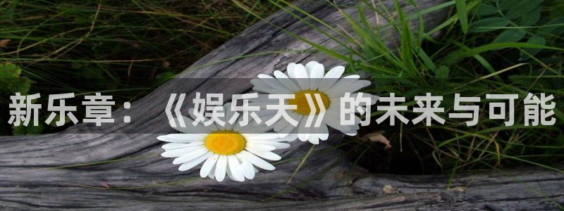 彩名堂安卓版：新乐章：《娱乐天》的未来与可能
