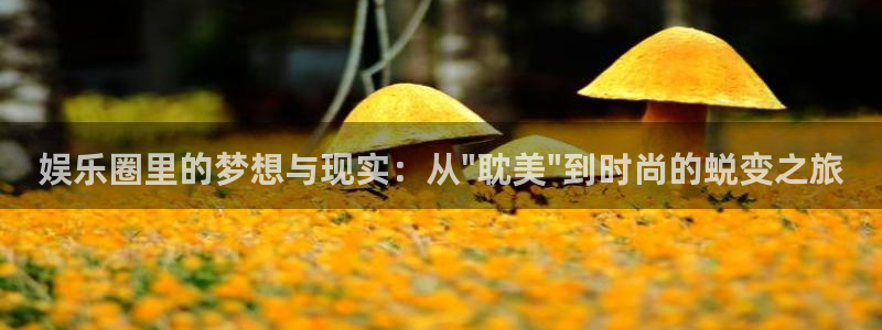 彩名堂6.0计划：娱乐圈里的梦想与现实：从\